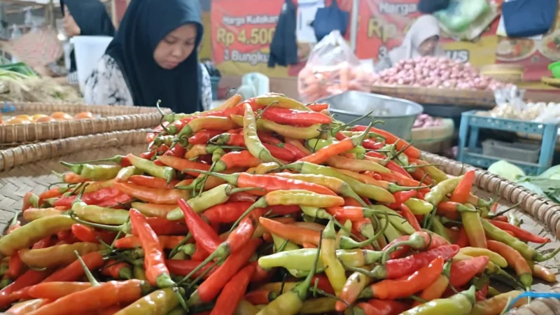 Lonjakan Harga Pangan: Cabai Tembus Harga Tinggi, Beban Konsumen Meningkat
