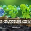 Luzern vs: Mencari Solusi Fertilisir dengan Bijak