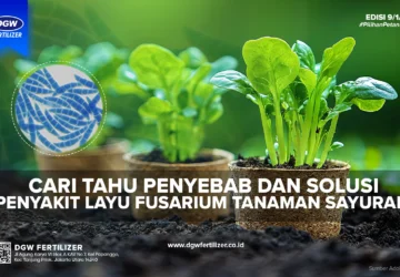 Luzern vs: Mencari Solusi Fertilisir dengan Bijak