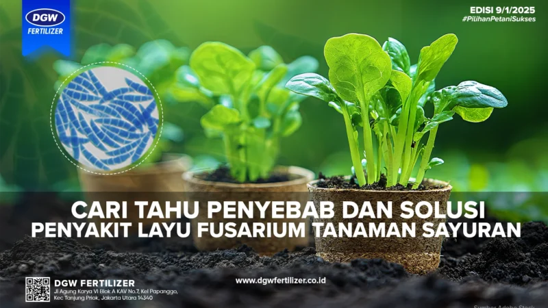 Luzern vs: Mencari Solusi Fertilisir dengan Bijak
