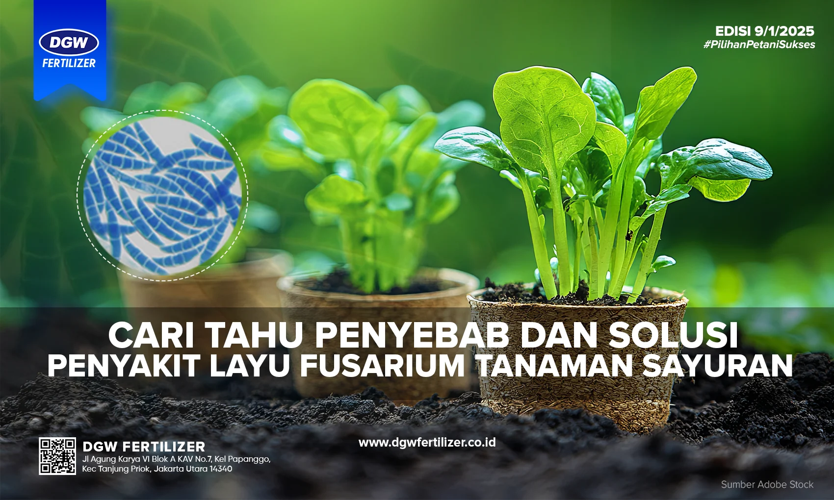 Luzern vs: Mencari Solusi Fertilisir dengan Bijak