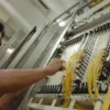 Matrix Networks Perkuat Kapasitas Kabel Laut Batam-Jakarta untuk Mendukung Era Teknologi AI