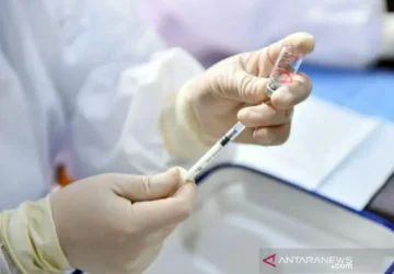 Membedah Hoaks Hantavirus sebagai Efek Samping Vaksin Pfizer