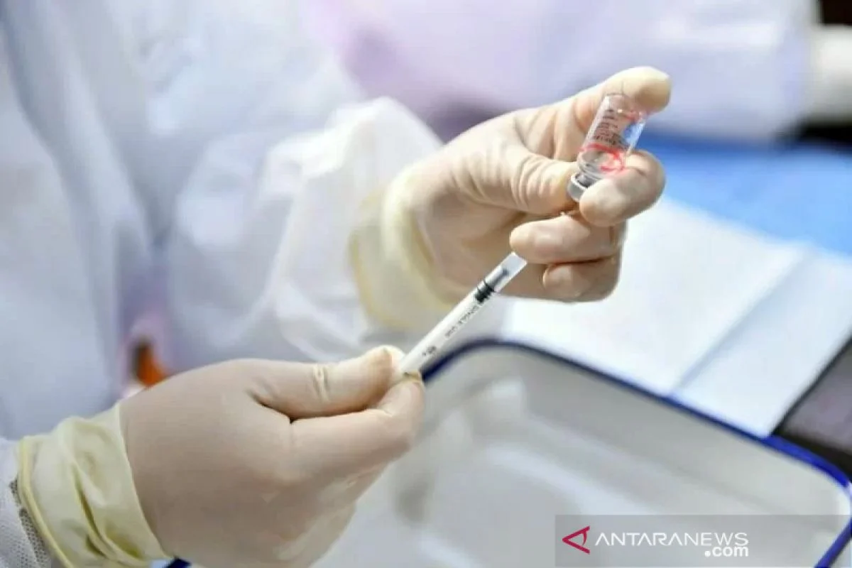 Membedah Hoaks Hantavirus sebagai Efek Samping Vaksin Pfizer