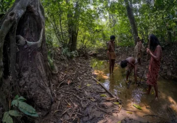 Orang Rimba Beradaptasi dengan Pola Hidup Baru di Taman Nasional Bukit Duabelas