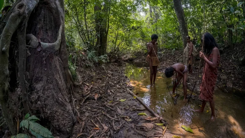 Orang Rimba Beradaptasi dengan Pola Hidup Baru di Taman Nasional Bukit Duabelas