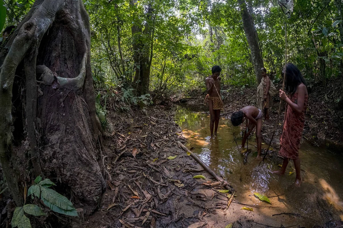 Orang Rimba Beradaptasi dengan Pola Hidup Baru di Taman Nasional Bukit Duabelas