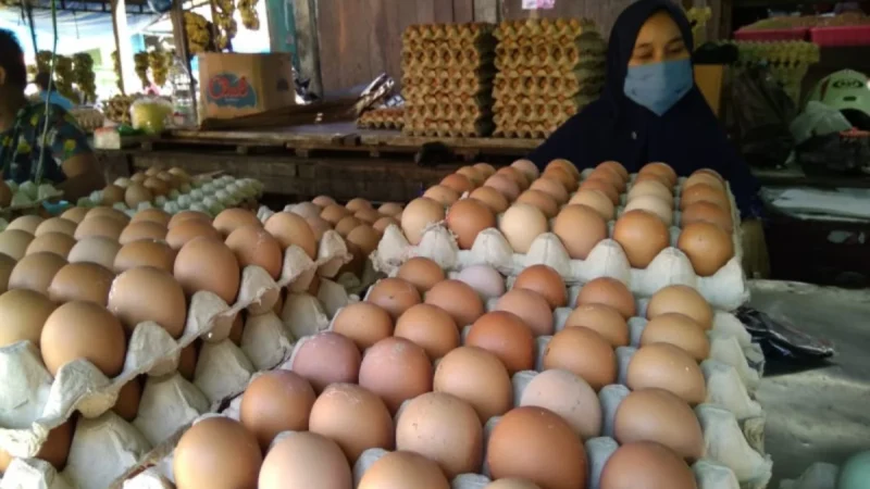 Penurunan Harga Telur Ayam di Jakarta: Dampak dan Penyebab