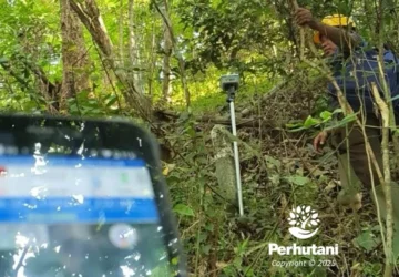 Perhutani KPH Balapulang Dampingi Pengukuran Penataan Batas Kawasan Hutan di Brebes
