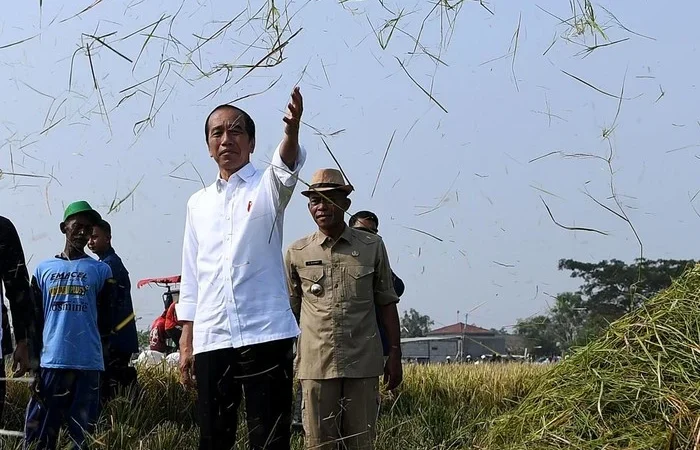 Pertemuan Jokowi dan Wamentan: Petani Kini Merasakan Kebahagiaan