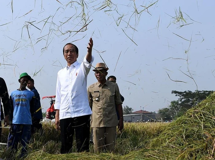 Pertemuan Jokowi dan Wamentan: Petani Kini Merasakan Kebahagiaan