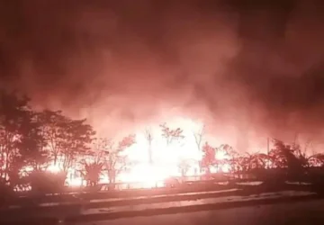 Peternakan di Bogor Terbakar, 1 Orang Luka Bakar dan 60.000 Ayam Mati