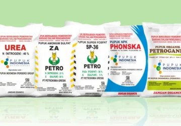 Petrokimia Gresik Siapkan 219.648 Ton Pupuk Subsidi Hingga Akhir 2026