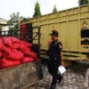 Polisi Bongkar Impor Bawang Ilegal dari Malaysia Senilai Rp24,9 Miliar