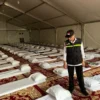 PPIH Arab Saudi Ganti Stiker KBIHU di Tenda Arafah dengan Penanda Resmi