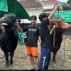 Prabowo Subianto Membeli Sapi Kurban Berbobot 1,1 Ton dari Peternak Sukabumi