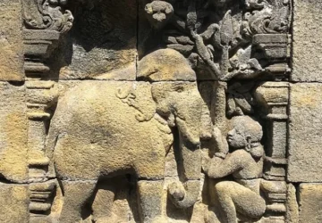 Relief Borobudur Ternyata Menyimpan Jejak Flora Jawa Kuno yang Eksotis