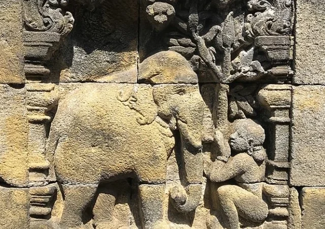 Relief Borobudur Ternyata Menyimpan Jejak Flora Jawa Kuno yang Eksotis