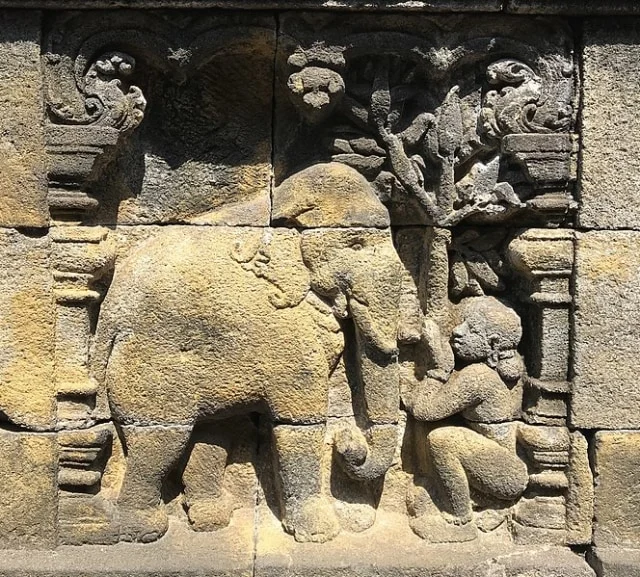 Relief Borobudur Ternyata Menyimpan Jejak Flora Jawa Kuno yang Eksotis
