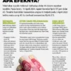 Rupiah Melemah: Kenapa dan Bagaimana Mengatasi?