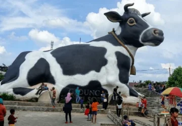 Sapi Viral dari Boyolali: Gembul, Sapi ‘Rupawan’ yang Menghebohkan Dunia Maya