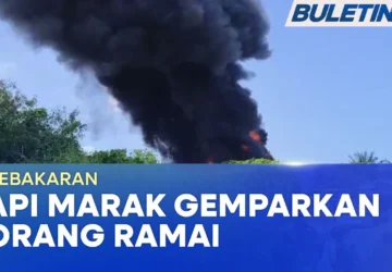Serangan API AI Marak di Asia Pasifik: Perusahaan Korban Kerugian Finansial