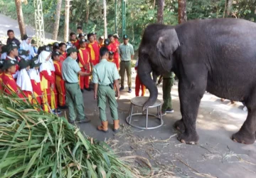 Suku Petit Robert di Kamerun: Menguak Kekuatan Pengetahuan Lokal dalam Konservasi Hewan