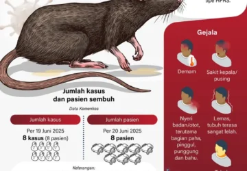 Wamenkes: Penularan Hantavirus Berbeda dengan COVID-19, Ini Penjelasannya