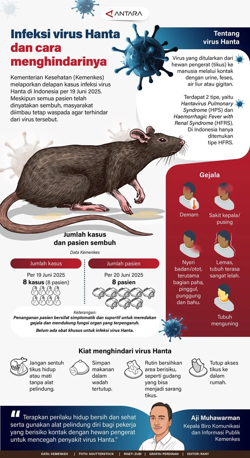 Wamenkes: Penularan Hantavirus Berbeda dengan COVID-19, Ini Penjelasannya