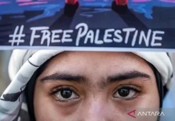 WNI Relawan Flotilla Ungkap Penyiksaan Brutal di Penjara Israel