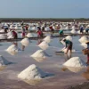 Zona Industri Garam di Rote Ndao Tampak Penting untuk Memenuhi Kebutuhan Nasional: Wakil Presiden