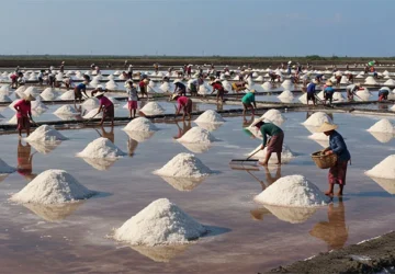 Zona Industri Garam di Rote Ndao Tampak Penting untuk Memenuhi Kebutuhan Nasional: Wakil Presiden