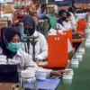 Badai PHK di Depan Mata: Satgas Mulai Petakan Industri Terancam