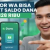 DANA Perbarui Sistem Keamanan untuk Menghindari Penipuan Saldo Gratis