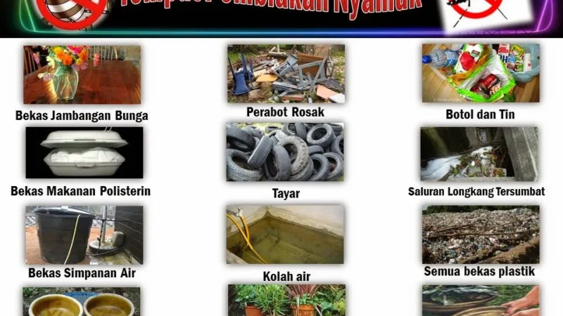 Google Mengembangkan Teknologi AI untuk Mengeliminasi Penyakit Melalui Pembiakan Nyamuk