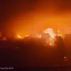 Gudang di Cakung Jaktim Mengalami Kebakaran Besar, 13 Unit Damkar Dikerahkan