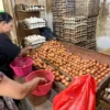 Harga Telur Ayam Ras Rendah Akibat Produksi Melimpah dan Pasar yang Tidak Serap Maksimal