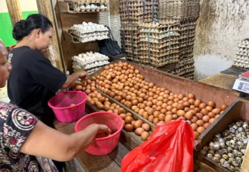 Harga Telur Ayam Ras Rendah Akibat Produksi Melimpah dan Pasar yang Tidak Serap Maksimal