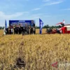Indonesia Targetkan Produksi Padi 12,4 Ton/Hektar dengan Sitem Farming Baru