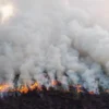 Kebakaran Lahan di Ogan Ilir, Sumsel: Api Membakar Lahan dan Asap Membubung Tinggi