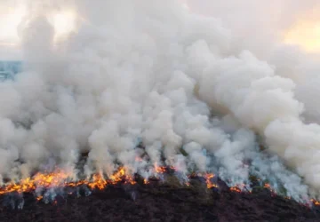 Kebakaran Lahan di Ogan Ilir, Sumsel: Api Membakar Lahan dan Asap Membubung Tinggi