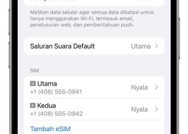 Mengaktifkan eSIM di iPhone: Panduan Lengkap untuk Fleksibilitas