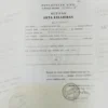 Mengapa Akta Kelahiran Anak Perlu Diurus Sejak Dini