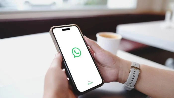 Meta Luncurkan WhatsApp Plus Berbayar di Indonesia, Tawarkan Fitur Kustomisasi