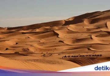 Meteorit Langka Membuka Rahasia Dunia Hilang di Gurun Sahara