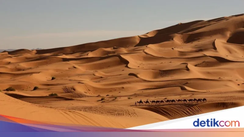 Meteorit Langka Membuka Rahasia Dunia Hilang di Gurun Sahara