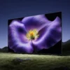 Review Xiaomi TV S Mini LED 85 2026: Televisi Raksasa yang Membuat Anda Merasa di Bioskop!