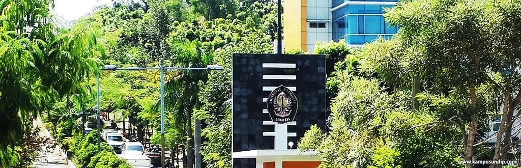 UNDIP 2026: Link Hasil Seleksi Mandiri Jalur UTBK & Daftar Ulang Terungkap