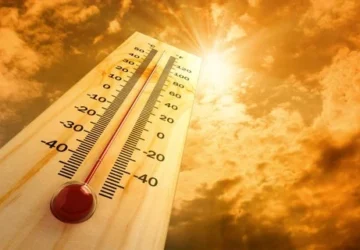 Cuaca Panas Ekstrem di AS Memicu Rekor Permintaan Listrik