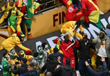Fans Menginjak Lapangan Selama Pertandingan Belgium-Senegal di Seattle